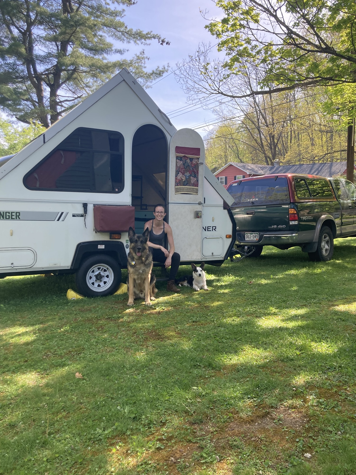 Tips for Traveling with Dogs